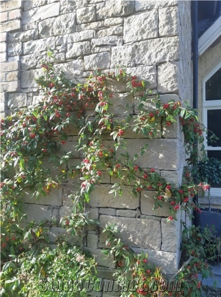 Tipperary Cream Sandstone Sawn Building Stone