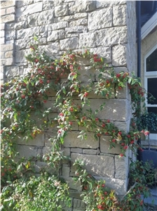 Tipperary Cream Sandstone Sawn Building Stone Tipperary Cream Sandstone Sawn Building Stone