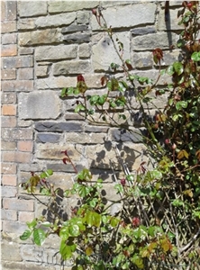 Wicklow Sandstone