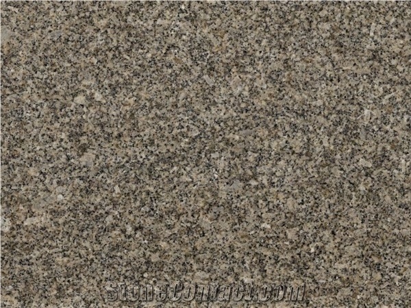 Almond Gold Granite Slabs & Tiles