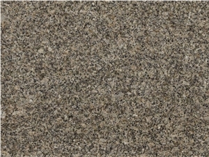 Almond Gold Granite Slabs & Tiles Almond Gold Granite Slabs & Tiles