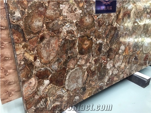 Fossil Stone Petrified Wood,Brown Petrified Wood Stone Slabs