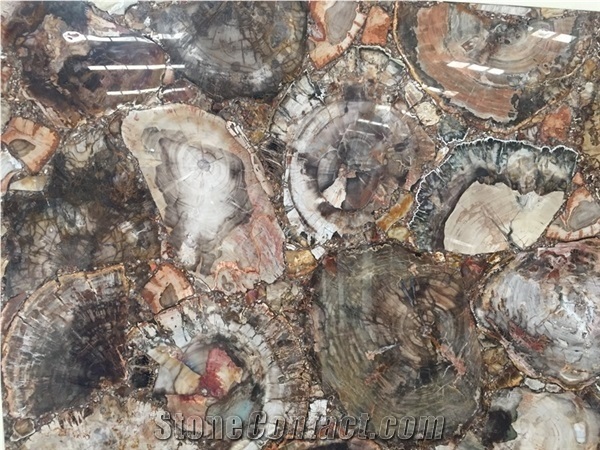 Round Petrified Wood Semiprecious Stone,Petrified Wood Slab