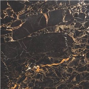 Nero Portoro Marble Tiles & Slabs
