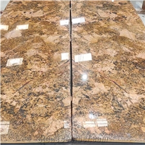 Alaska Gold Exotic Stone