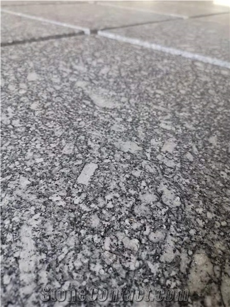 China Zijiang White Grey Flamed Granite Tiles