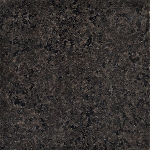 Ash Black Exotic Stone