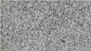 P White Granite Slabs or Tile Best Indian Price