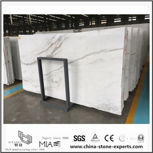 New Castro White Marble Slab (Yqw-Msa21013)