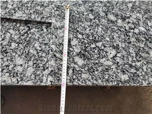 Spray White Flower China Granite Stone Color