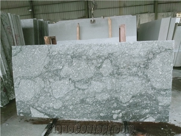 Landscape Grey Granite Stone Natural Polish Slabs
