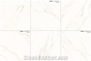 Bd-8800 - Glossy Porcelain Tile 80x80