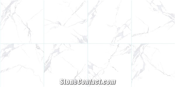 Fr80b01 - Glossy Porcelain 80x80