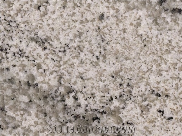 Artosha Granite Slabs & Tiles