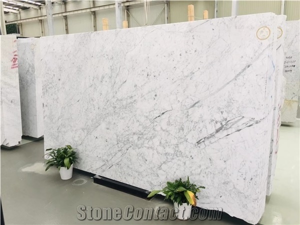 White Marble Calacatta Carrara Stone Polished Stone Slabs