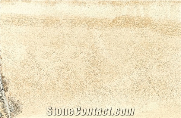 Hardscape Porcelain Monviso Fossil Sintered Stone