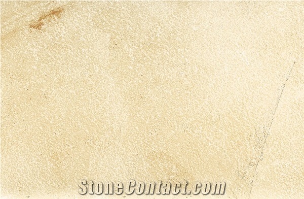 Hardscape Porcelain Monviso Fossil Sintered Stone