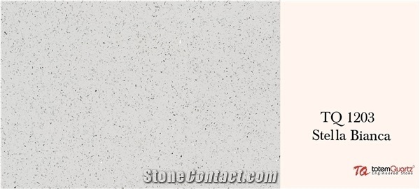 1203 Stella Bianca White Quartz