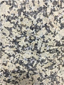 Cala Gold Slabs & Tiles, China Gold Granite