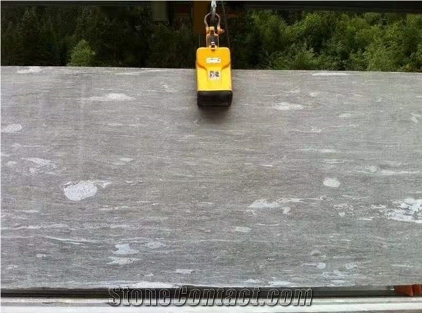 Vlas Quartzite Slabs & Tiles, Switzerland Grey Quartzite