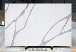 Bq8811/ Exotic Collection/ Cheapest Quartz