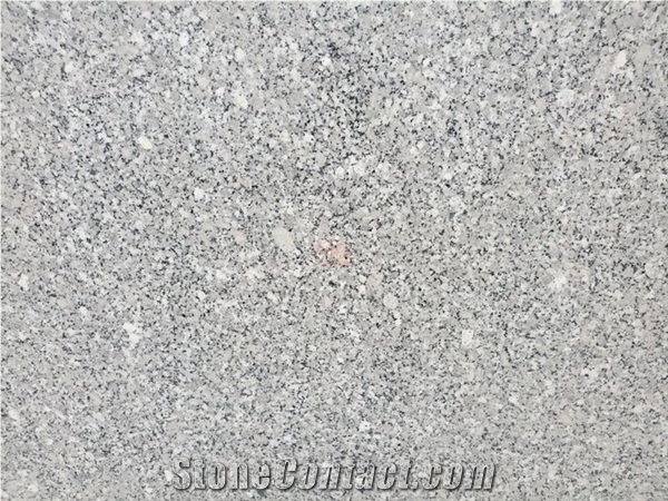 Sl White Granite/Vietnam White Granite/Vietnam Granite