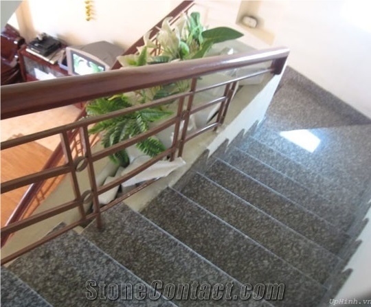 Td Violet Granite Slabs/ Vietnam Violet Granite
