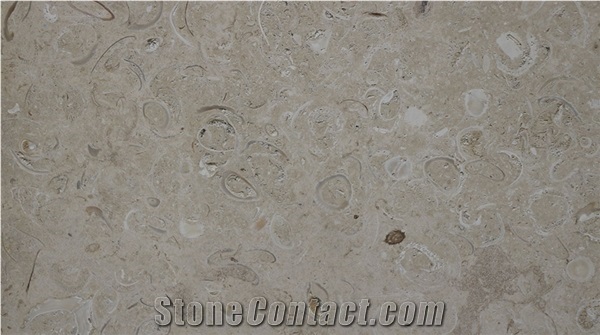 Conchuela Coral Stone, Mexican Shell Stone