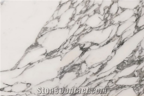 Arabescato Corchia Marble Slabs