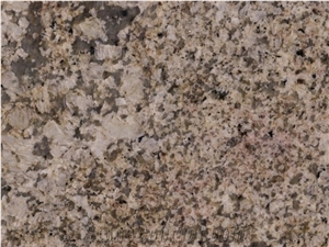 Ivory Coast Granite Slabs & Tiles