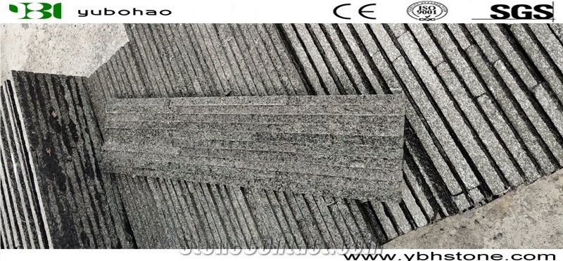 Black Quartzite/Stacked Natural Stone Wall Panels