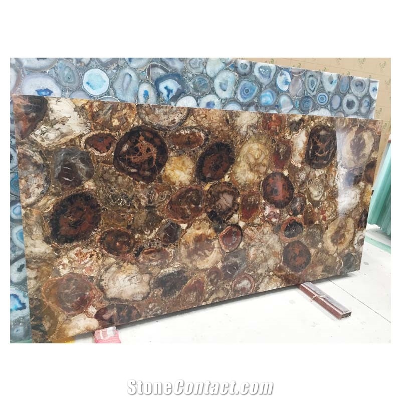 Petrified Wood Slab Tile/Fossil Stone for Sale