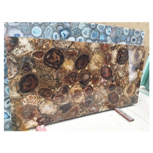 Petrified Wood Slab Tile/Fossil Stone for Sale