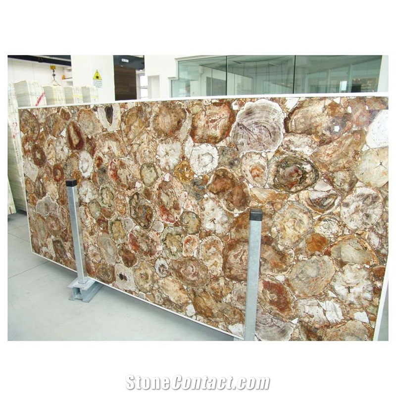 Petrified Wood Slab Tile/Fossil Stone for Sale