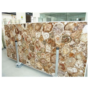 Petrified Wood Slab Tile/Fossil Stone for Sale