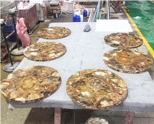 Petrified Wood Slab Tile/Fossil Stone for Sale