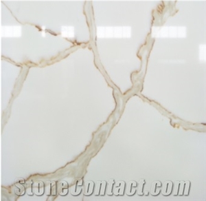 Artificial Calavatta Gold Wall Decoration Application Future Wall Panel
