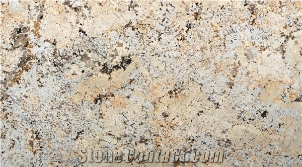 Exotic Delicatus Gold Granite