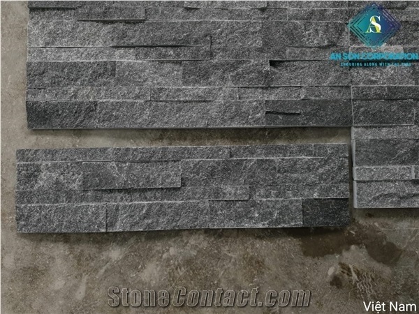 Wall Panel for Building