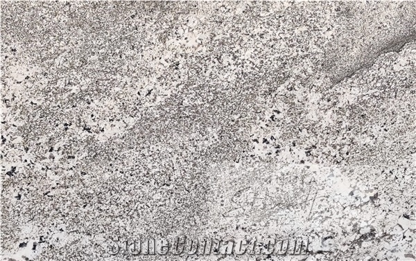 Oyster White Granite Slabs & Tiles, Indian Oyster White