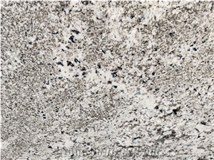 Oyster White Granite Slabs & Tiles, Indian Oyster White