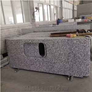 Bala White Flower Granite Kitchen Countertop