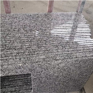 Bala White Flower Granite Kitchen Countertop