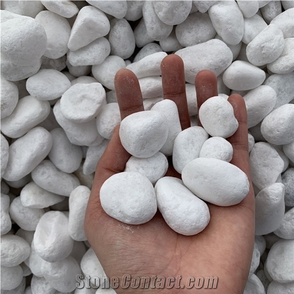 Tumbled Roundness White Color Pebble Stone