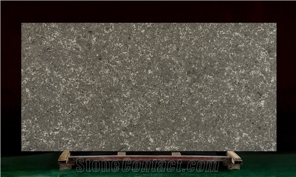 Vemy Quartz Stone Cq928-2
