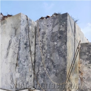 Natural Terrazzo Fossil Grey Marble Big Polished Slab Buyer