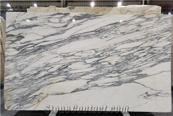 Arabescato Boana Bianco White Marble Slab