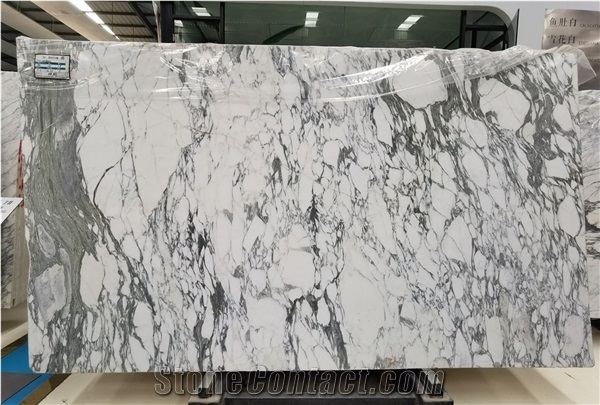 Arabescato Vagli Grigio Bianco White Marble Slab