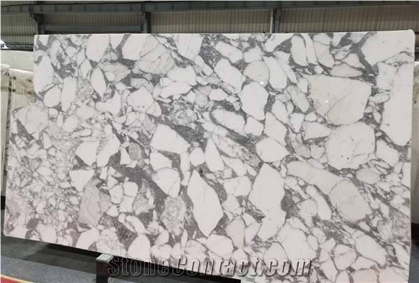 Italy Arabescato Collettino White Marble Slab