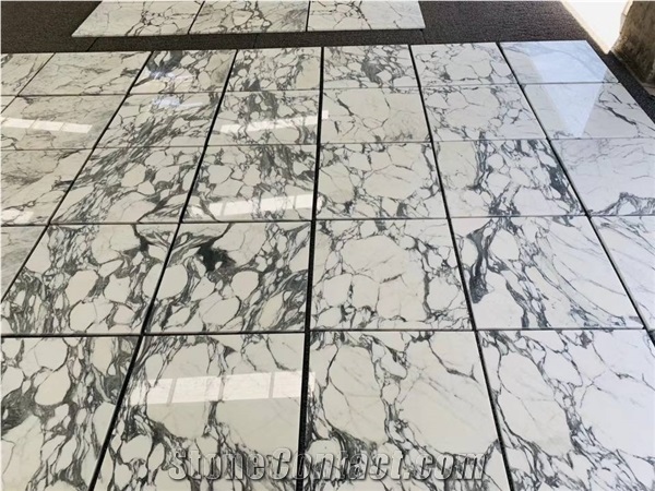 Italy Arabescato Collettino White Marble Slab